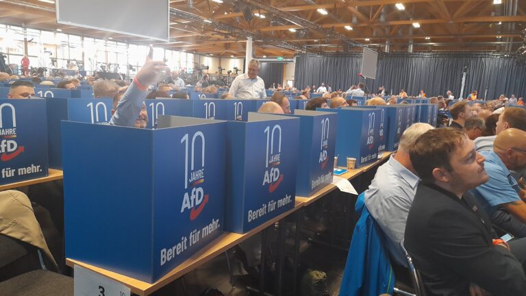 Bundesparteitag und EU-Wahlversammlung in Magdeburg